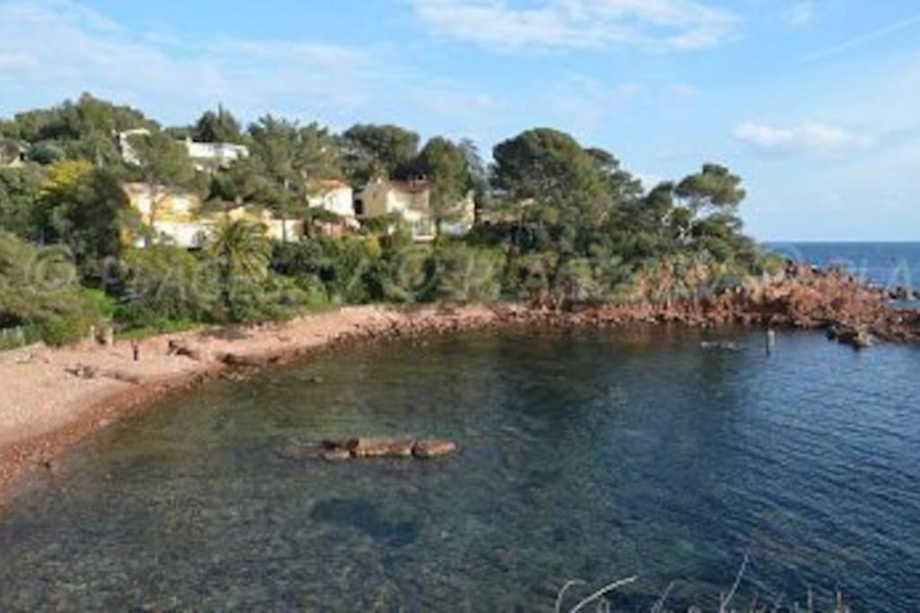 Appartement L'Evasion, Vue Mer, Plages A Pied Fréjus Exterior foto